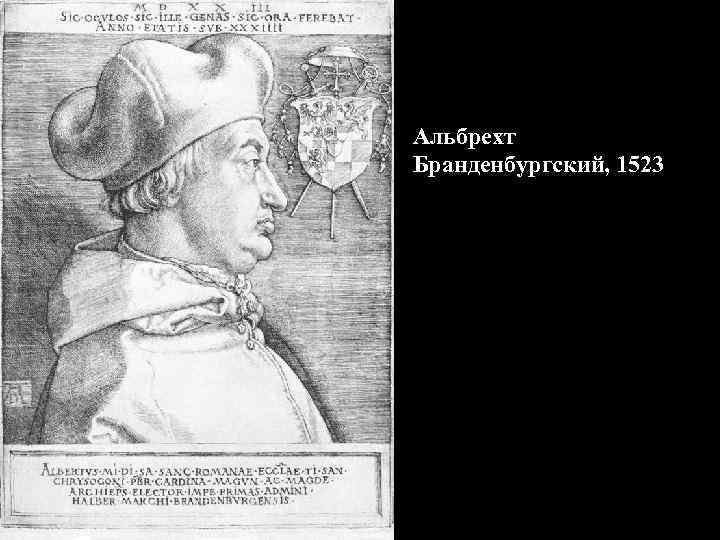 Альбрехт Дюрер автопортрет 1484. Альбрехт Бранденбургский апрель.