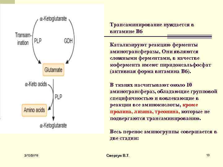 Роль витаминов в обмене аминокислот. Роль витамина в6 в трансаминировании аминокислот. Реакции трансаминирования витамина в6. Роль витамина в6 в реакциях трансаминирования. Трансаминирование аминокислот. Роль витамина в6..