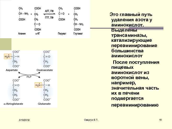 Это главный путь удаления азота у аминокислот. Выделены трансаминазы, катализирующие переаминирование большинства аминокислот После