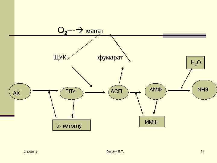 О 2 --- малат ЩУК ГЛУ АК фумарат АСП АМФ NH 3 ИМФ α-