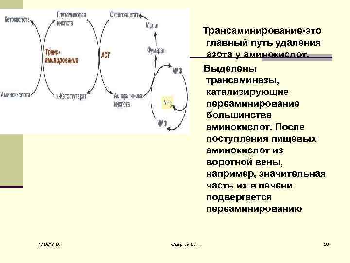 Трансаминирование-это главный путь удаления азота у аминокислот. Выделены трансаминазы, катализирующие переаминирование большинства аминокислот. После