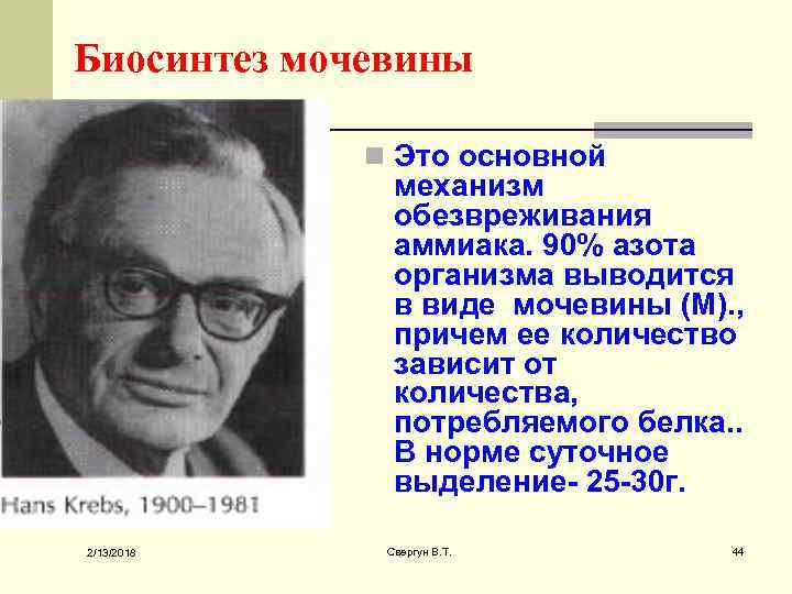 Биосинтез мочевины n Это основной механизм обезвреживания аммиака. 90% азота организма выводится в виде