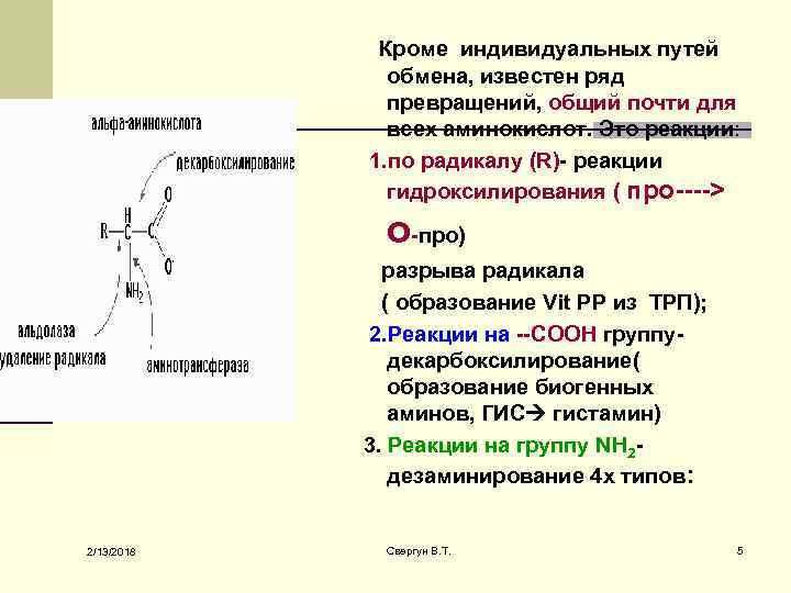 Кроме индивидуальных путей обмена, известен ряд превращений, общий почти для всех аминокислот. Это реакции: