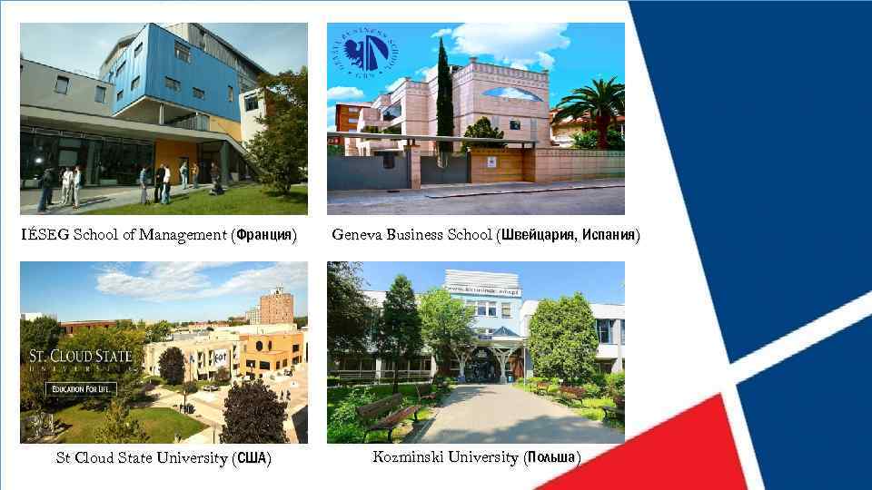 IÉSEG School of Management (Франция) St Cloud State University (США) Geneva Business School (Швейцария,