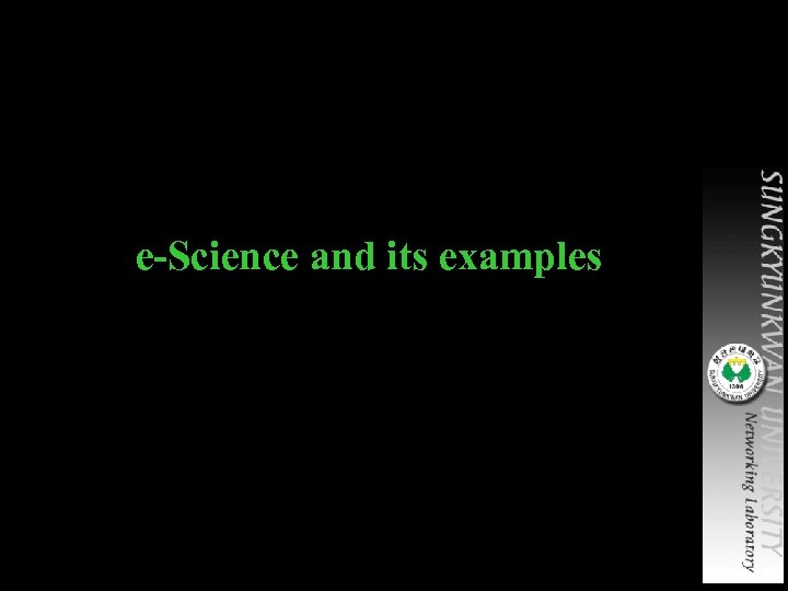 e-Science and its examples 