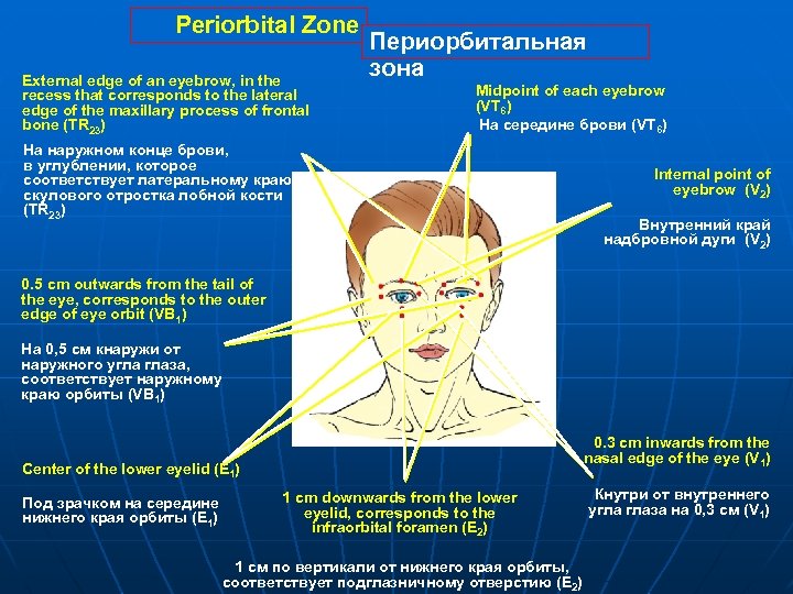 Periorbital Zone External edge of an eyebrow, in the recess that corresponds to the