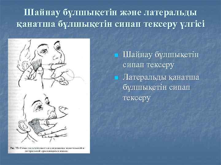 Шайнау бұлшықетін және латеральды қанатша бұлшықетін сипап тексеру үлгісі n n Шайнау бұлшықетін сипап