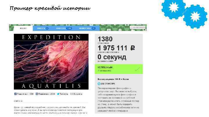 Пример красивой истории 