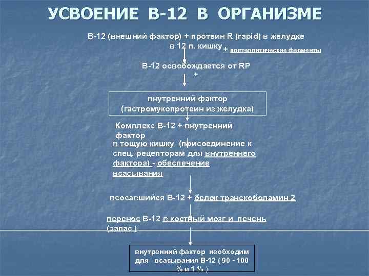 В 12 в каком виде. Схема усвоения в12 в организме. Усвоение железа в организме. Усваивание железа организмом. Ко факторы усвоения железа.