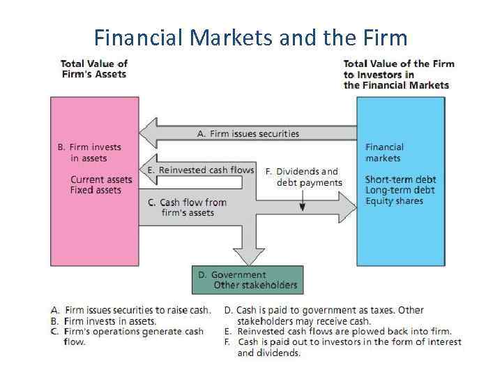 Financial Markets and the Firm 
