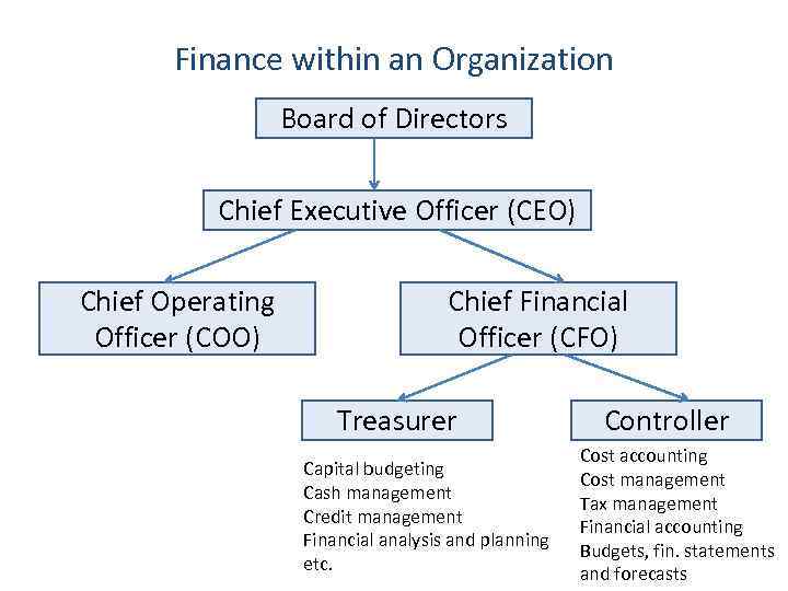 Finance within an Organization Board of Directors Chief Executive Officer (CEO) Chief Operating Officer