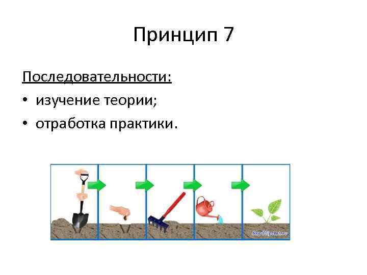 Принцип 7 Последовательности: • изучение теории; • отработка практики. 