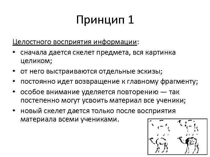 Принцип 1 Целостного восприятия информации: • сначала дается скелет предмета, вся картинка целиком; •