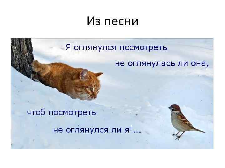 Из песни 