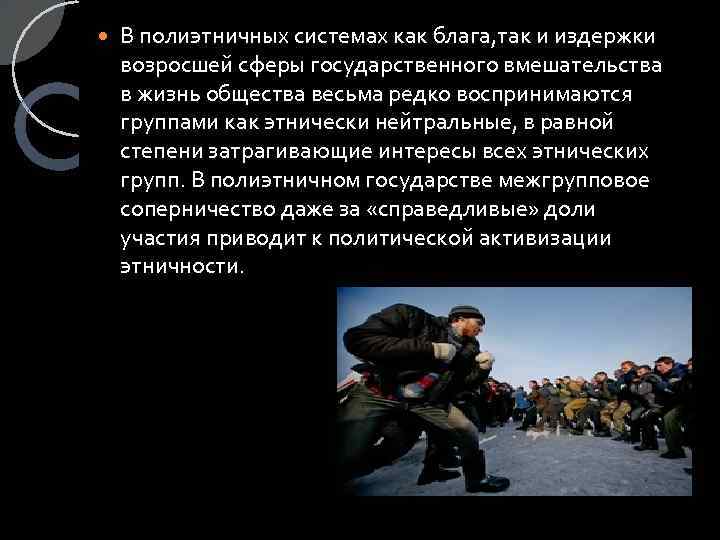  В полиэтничных системах как блага, так и издержки возросшей сферы государственного вмешательства в