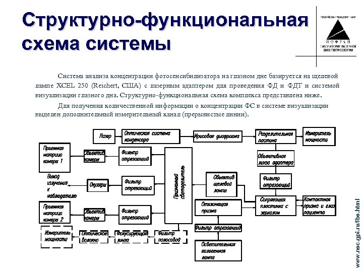 Структурно-функциональная схема системы www. nsc. gpi. ru/lbs. html Система анализа концентрации фотосенсибилизатора на глазном
