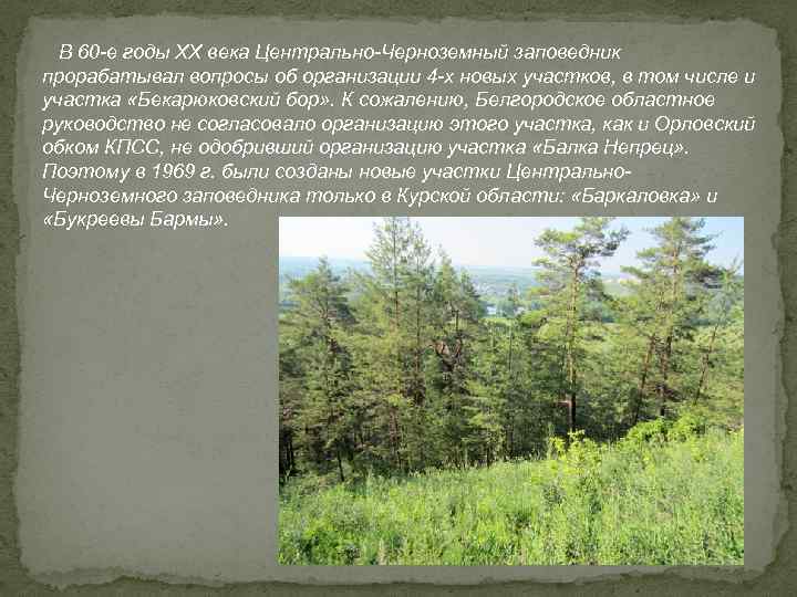 В 60 -е годы XX века Центрально-Черноземный заповедник прорабатывал вопросы об организации 4 -х