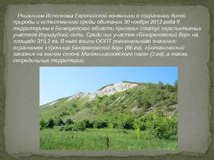  Решением Исполкома Европейской конвенции о сохранении дикой природы и естественной среды обитания 30