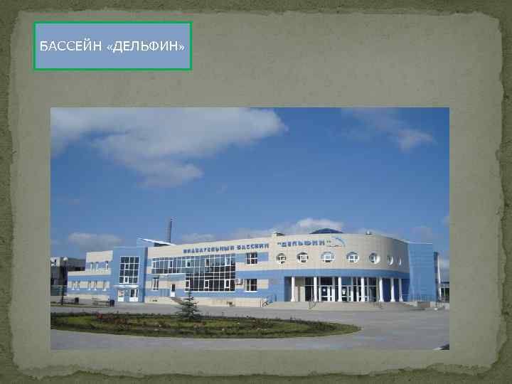 БАССЕЙН «ДЕЛЬФИН» 
