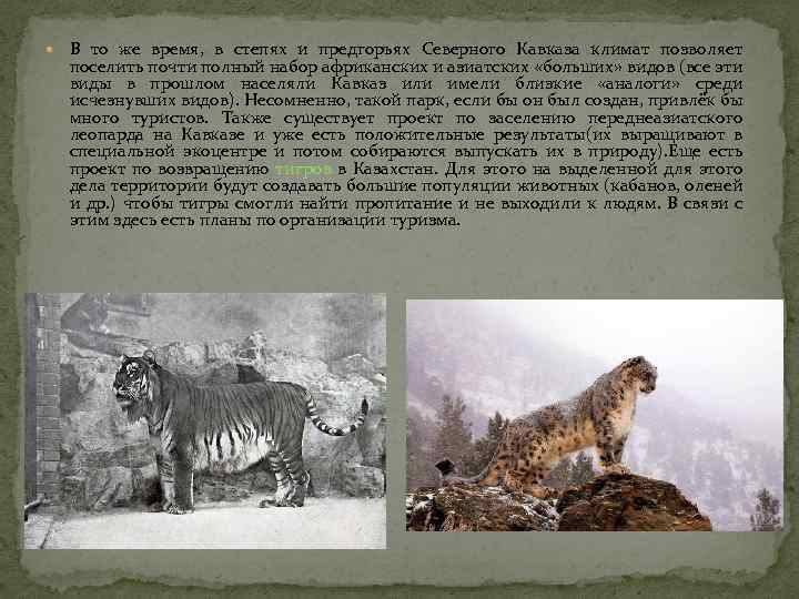  В то же время, в степях и предгорьях Северного Кавказа климат позволяет поселить