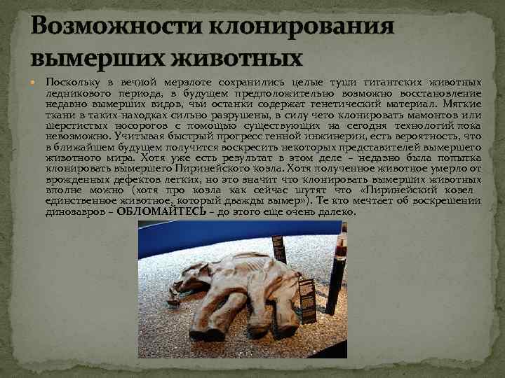 Возможности клонирования вымерших животных Поскольку в вечной мерзлоте сохранились целые туши гигантских животных ледникового