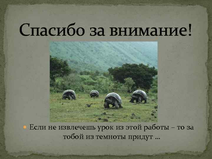 Спасибо за внимание! Если не извлечешь урок из этой работы – то за тобой