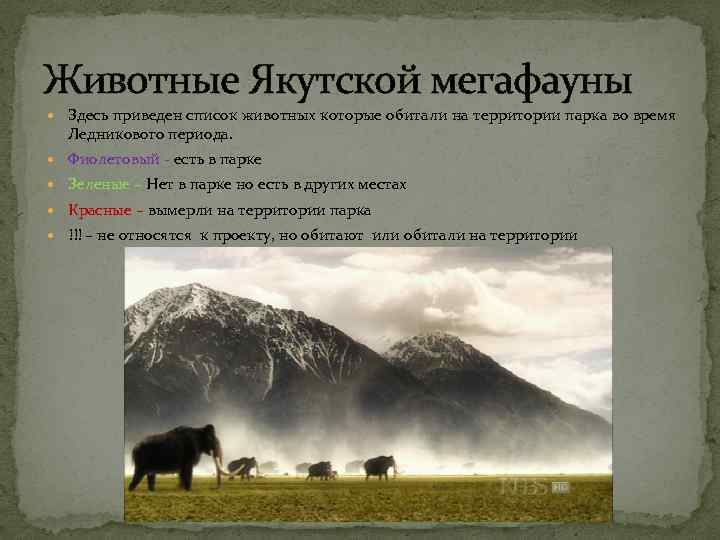 Животные Якутской мегафауны Здесь приведен список животных которые обитали на территории парка во время