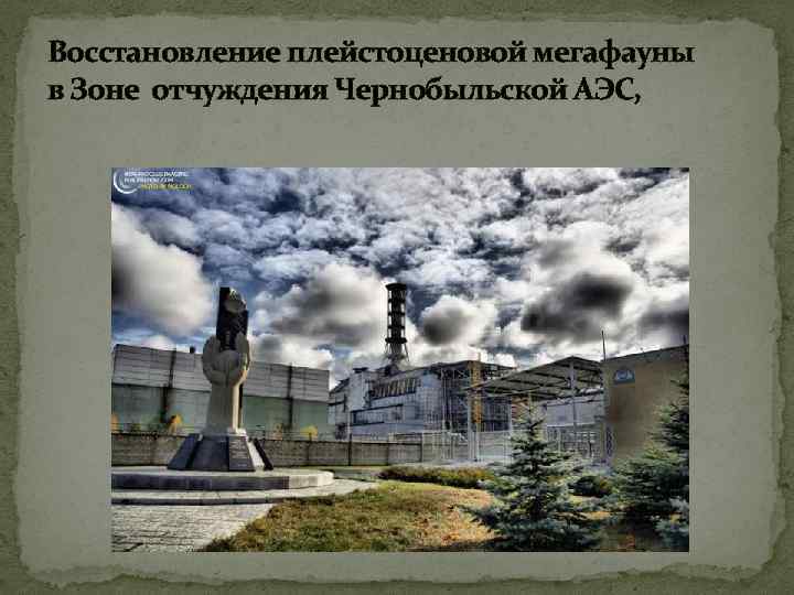 Восстановление плейстоценовой мегафауны в Зоне отчуждения Чернобыльской АЭС, 