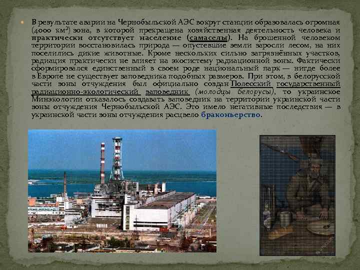  В результате аварии на Чернобыльской АЭС вокруг станции образовалась огромная (4000 км²) зона,