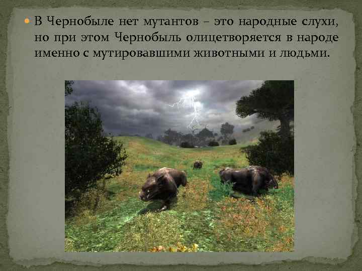  В Чернобыле нет мутантов – это народные слухи, но при этом Чернобыль олицетворяется