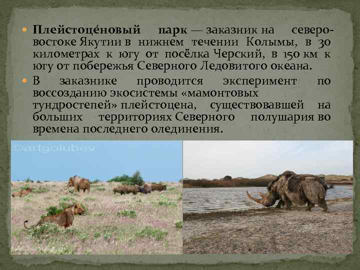  Плейстоце новый парк — заказник на северовостоке Якутии в нижнем течении Колымы, в