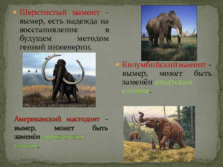  Шерстистый мамонт – вымер, есть надежда на восстановление в будущем методом генной инженерии.
