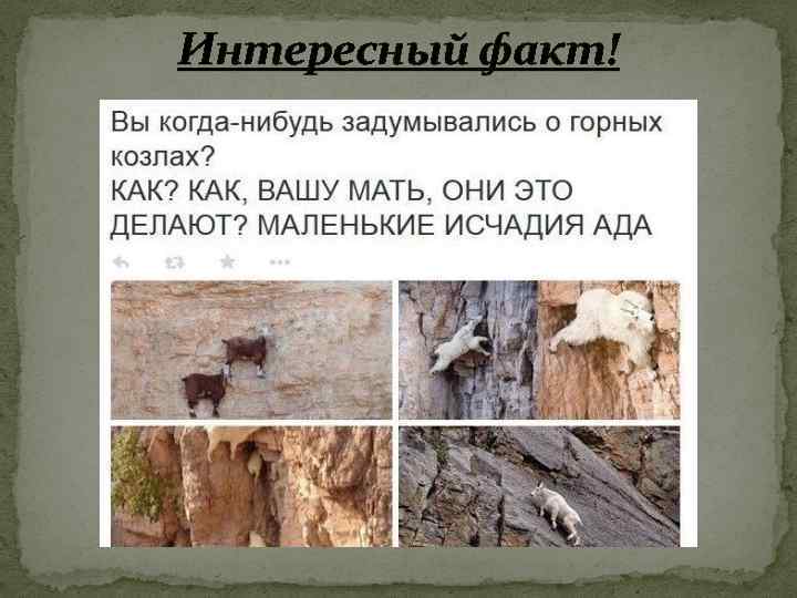 Интересный факт! 