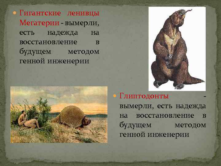  Гигантские ленивцы Мегатерии - вымерли, есть надежда на восстановление в будущем методом генной