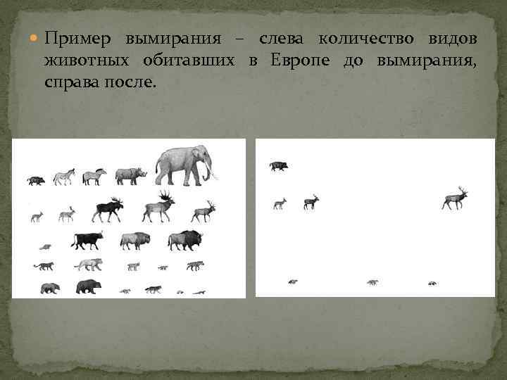  Пример вымирания – слева количество видов животных обитавших в Европе до вымирания, справа