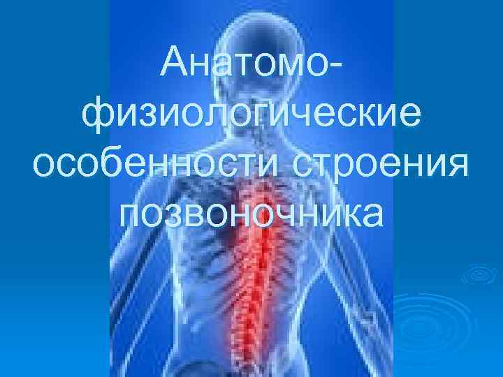 Анатомофизиологические особенности строения позвоночника 