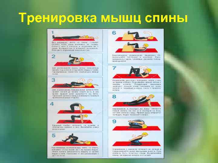 Тренировка мышц спины 