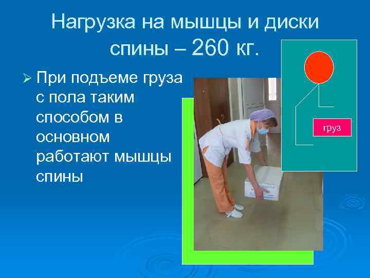 Нагрузка на мышцы и диски спины – 260 кг. Ø При подъеме груза с