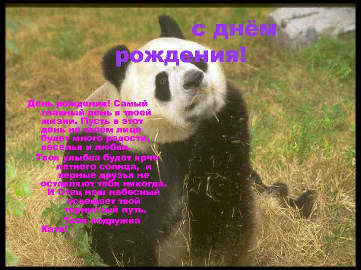 с днём рождения! День рождения! Самый главный день в твоей жизни. Пусть в этот