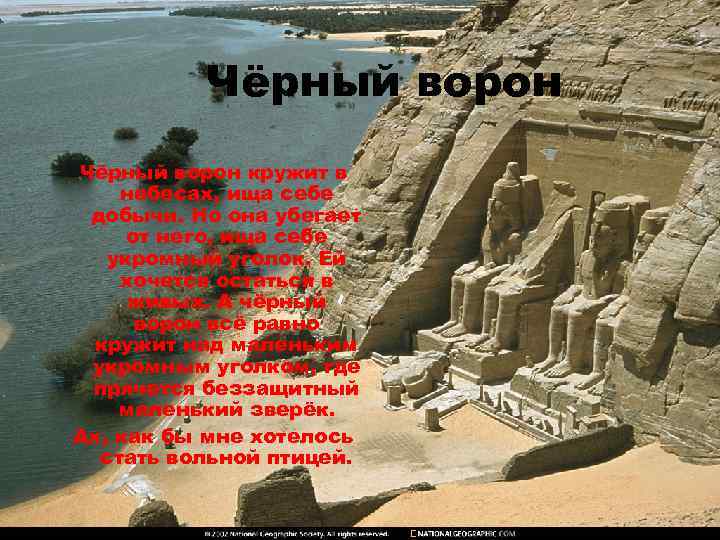 Чёрный ворон кружит в небесах, ища себе добычи. Но она убегает от него, ища