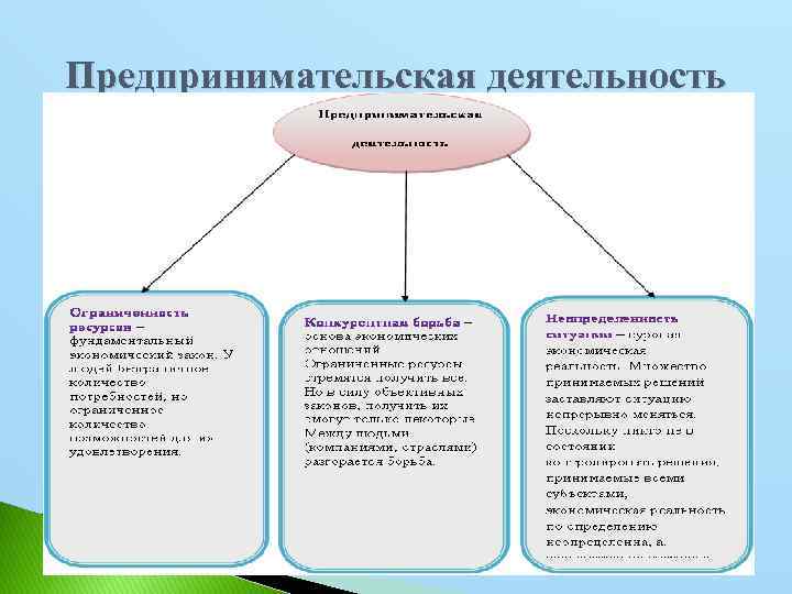 Предпринимательская деятельность 