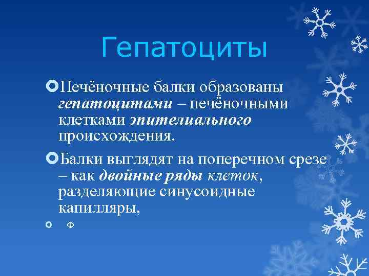 Гепатоциты Печёночные балки образованы гепатоцитами – печёночными клетками эпителиального происхождения. Балки выглядят на поперечном