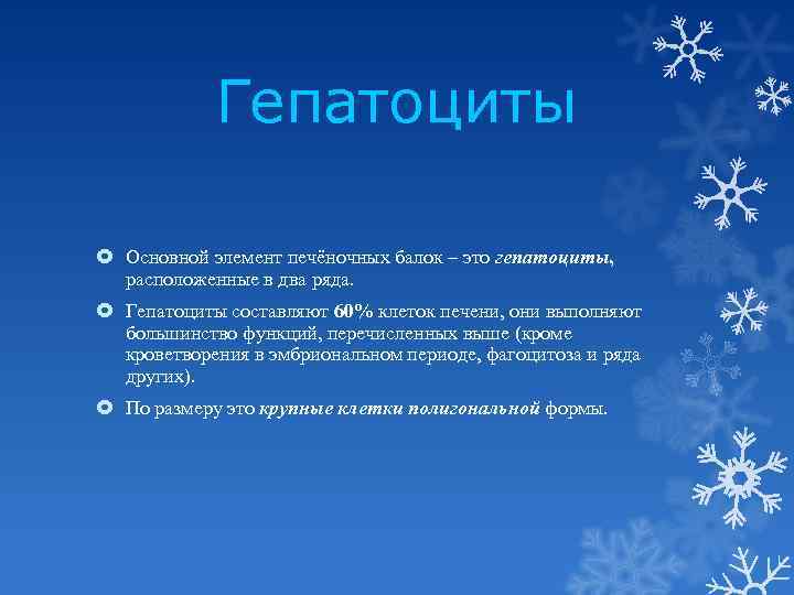 Гепатоциты Основной элемент печёночных балок – это гепатоциты, расположенные в два ряда. Гепатоциты составляют