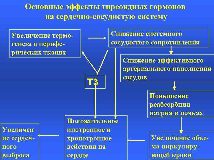 Основные эффекты тиреоидных гормонов на сердечно-сосудистую систему Снижение системного сосудистого сопротивления Увеличение термогенеза в