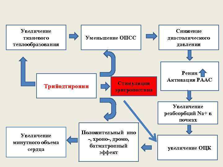 Увеличение тканевого теплообразования Уменьшение ОПСС Трийодтиронин Стимуляция эритропоэтина Снижение диастолического давления Ренин Активация РААС