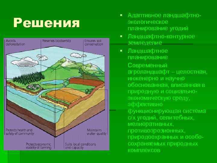 Решения § Адаптивное ландшафтноэкологическое планирование угодий § Ландшафтно-контурное земледелие § Ландшафтное планирование Современный агроландшафт