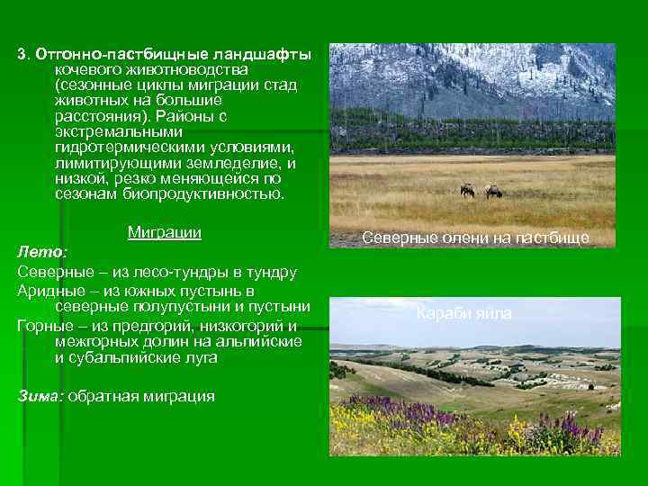 3. Отгонно-пастбищные ландшафты кочевого животноводства (сезонные циклы миграции стад животных на большие расстояния). Районы