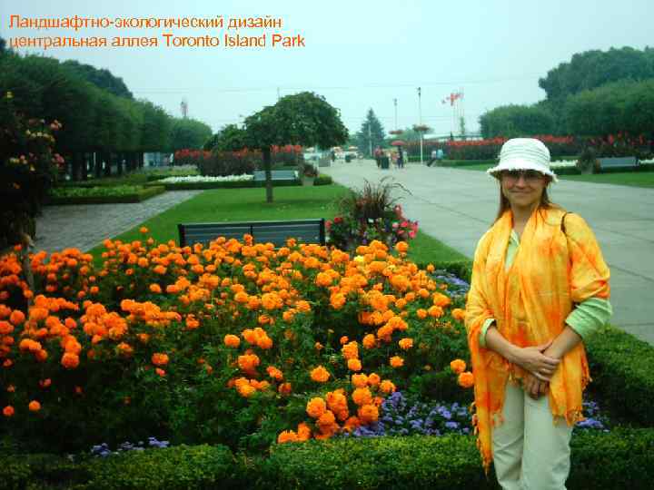 Ландшафтно-экологический дизайн центральная аллея Toronto Island Park 