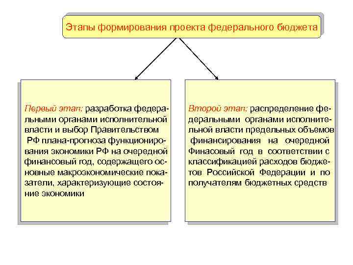 Разрабатывает проект федерального бюджета