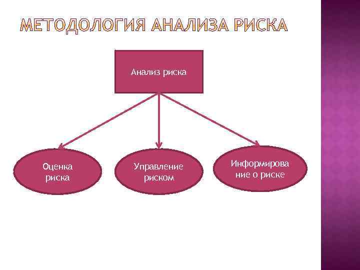 Анализ риска Оценка риска Управление риском Информирова ние о риске 